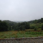 bieszczady-lipiec-2010-013