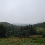 bieszczady-lipiec-2010-014