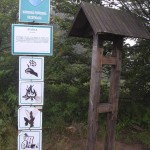 bieszczady-lipiec-2010-039