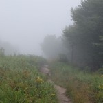 bieszczady-lipiec-2010-072