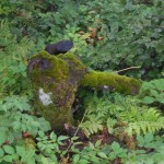bieszczady-lipiec-2010-090