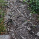 bieszczady-lipiec-2010-091