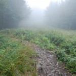 bieszczady-lipiec-2010-092