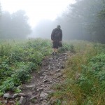 bieszczady-lipiec-2010-093