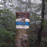 bieszczady-lipiec-2010-094