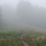 bieszczady-lipiec-2010-101