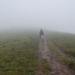 bieszczady-lipiec-2010-113