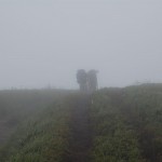 bieszczady-lipiec-2010-119