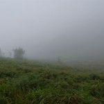 bieszczady-lipiec-2010-121