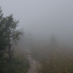 bieszczady-lipiec-2010-129