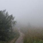 bieszczady-lipiec-2010-130