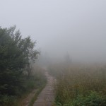 bieszczady-lipiec-2010-131
