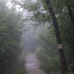 bieszczady-lipiec-2010-133