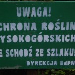 bieszczady-lipiec-2010-134