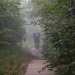 bieszczady-lipiec-2010-136