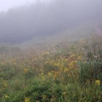 bieszczady-lipiec-2010-140