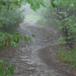 bieszczady-lipiec-2010-144