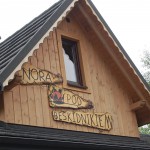 bieszczady-wetlina-ustrzyki-gorne-asfalt-lipiec-2010-001