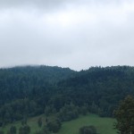 bieszczady-wetlina-ustrzyki-gorne-asfalt-lipiec-2010-078