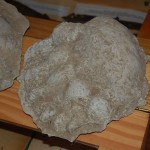 huculi-muzeum-pttki-ustrzyki-gorne-bieszczady-lipiec-2010-001