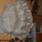 huculi-muzeum-pttki-ustrzyki-gorne-bieszczady-lipiec-2010-002