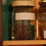 huculi-muzeum-pttki-ustrzyki-gorne-bieszczady-lipiec-2010-008