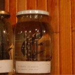 huculi-muzeum-pttki-ustrzyki-gorne-bieszczady-lipiec-2010-010