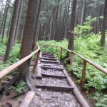 rusinowa-polana-wiktorowki-szlak-oscypka-oscypek-lipiec-2010-002