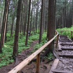 rusinowa-polana-wiktorowki-szlak-oscypka-oscypek-lipiec-2010-003