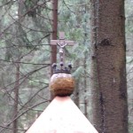 rusinowa-polana-wiktorowki-szlak-oscypka-oscypek-lipiec-2010-007