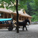 rusinowa-polana-wiktorowki-szlak-oscypka-oscypek-lipiec-2010-085