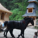 rusinowa-polana-wiktorowki-szlak-oscypka-oscypek-lipiec-2010-088