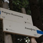 rusinowa-polana-wiktorowki-szlak-oscypka-oscypek-lipiec-2010-097