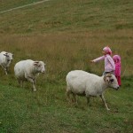rusinowa-polana-wiktorowki-szlak-oscypka-oscypek-lipiec-2010-128