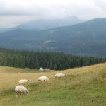 rusinowa-polana-wiktorowki-szlak-oscypka-oscypek-lipiec-2010-143