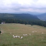 rusinowa-polana-wiktorowki-szlak-oscypka-oscypek-lipiec-2010-162