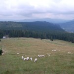 rusinowa-polana-wiktorowki-szlak-oscypka-oscypek-lipiec-2010-163