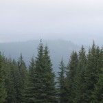rusinowa-polana-wiktorowki-szlak-oscypka-oscypek-lipiec-2010-198