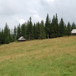rusinowa-polana-wiktorowki-szlak-oscypka-oscypek-lipiec-2010-269