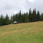 rusinowa-polana-wiktorowki-szlak-oscypka-oscypek-lipiec-2010-270