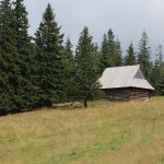 rusinowa-polana-wiktorowki-szlak-oscypka-oscypek-lipiec-2010-273