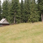 rusinowa-polana-wiktorowki-szlak-oscypka-oscypek-lipiec-2010-275
