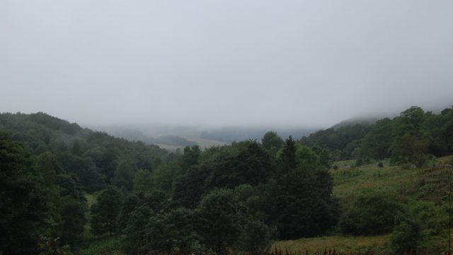 bieszczady-lipiec-2010-012