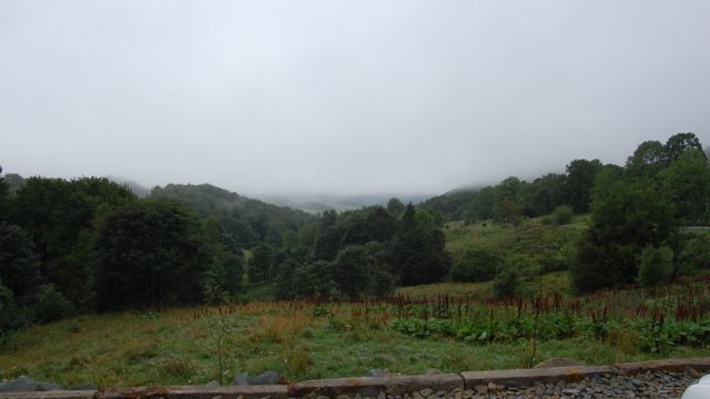 bieszczady-lipiec-2010-013