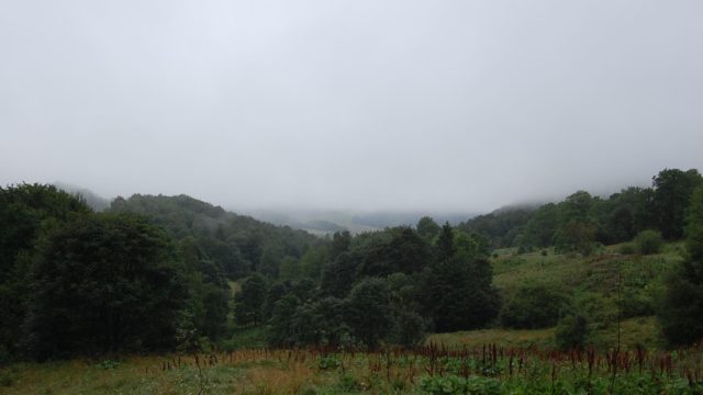 bieszczady-lipiec-2010-014