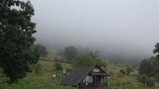 bieszczady-lipiec-2010-015