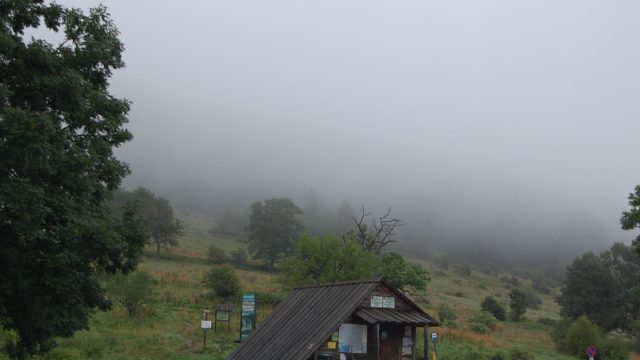 bieszczady-lipiec-2010-016