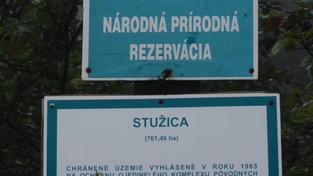 bieszczady-lipiec-2010-034