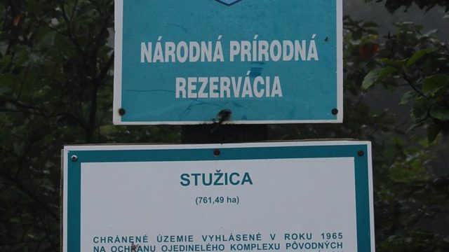 bieszczady-lipiec-2010-036