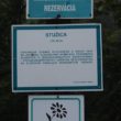 Bieszczadzki trakt w niepogodę 2010